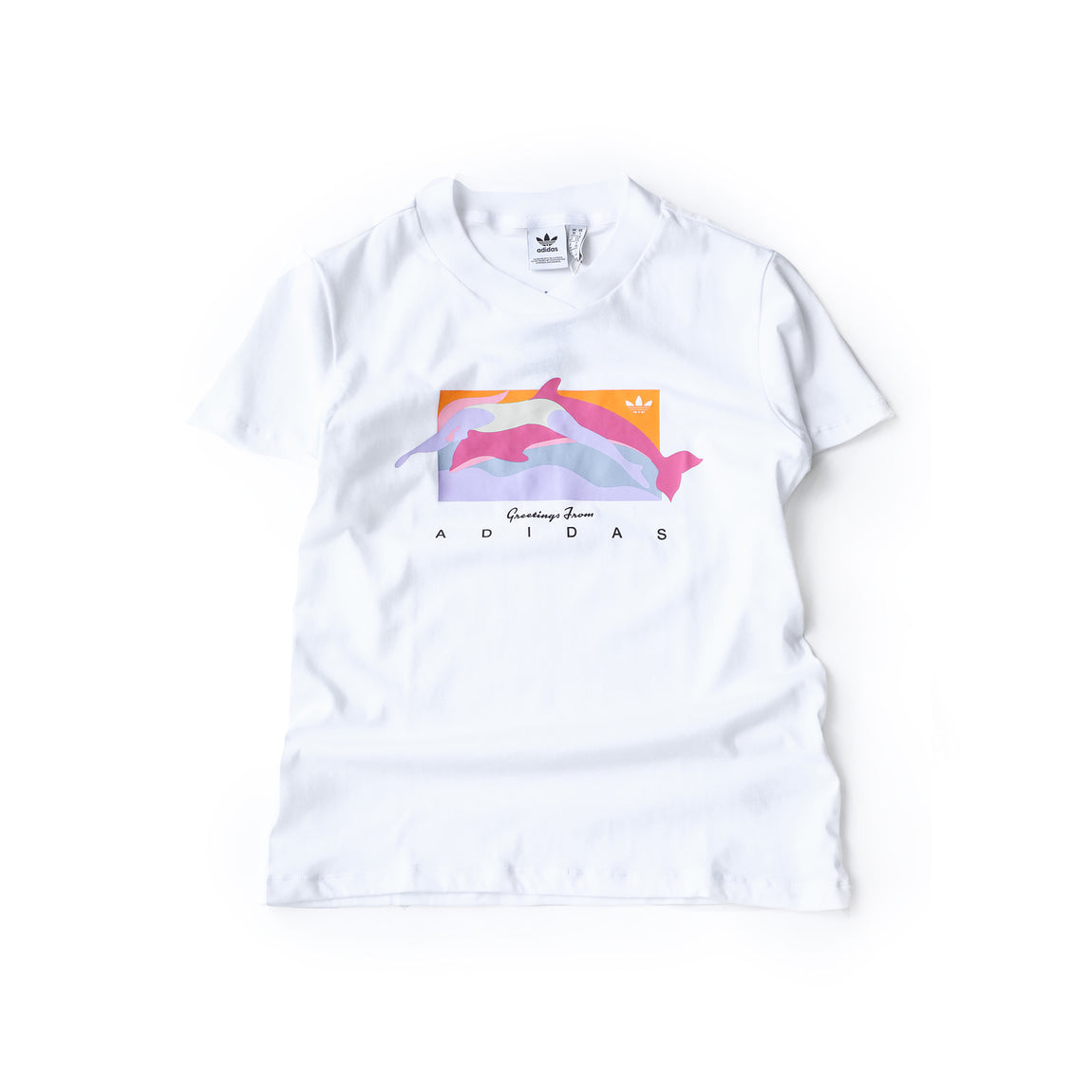 Adidas Originals Women's Fakten Tee (White/Multi) - Adidas Originals Women's Fakten Tee (White/Multi) - 